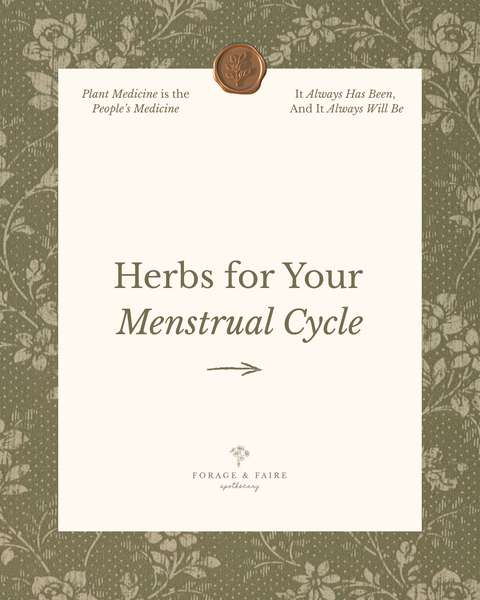 Herbs for Each Phase of Your Menstrual Cycle