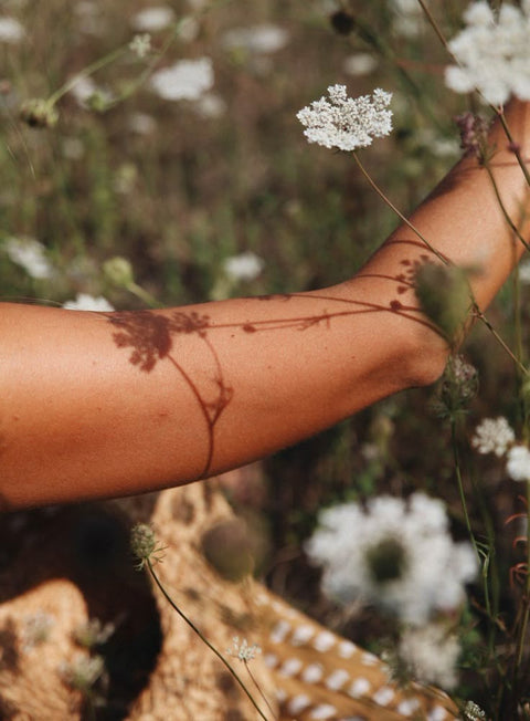 Summer Solstice for the Herbalist: Celebrating Midsummer with Nature