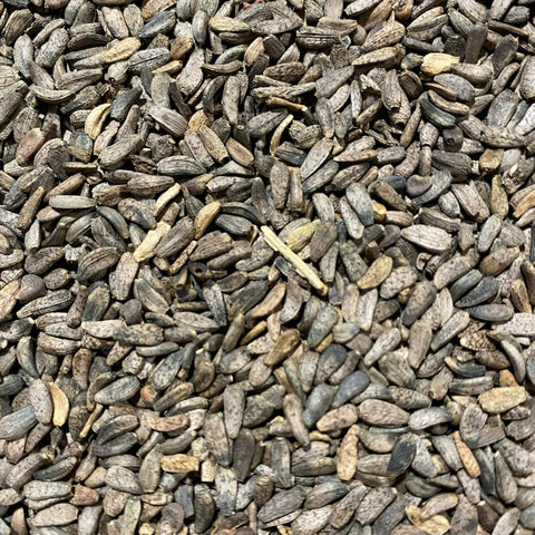 Burdock Seed (Arctium lappa) is a traditional herb used in Western, Chinese, and Ayurvedic medicine for its powerful health supporting properties.