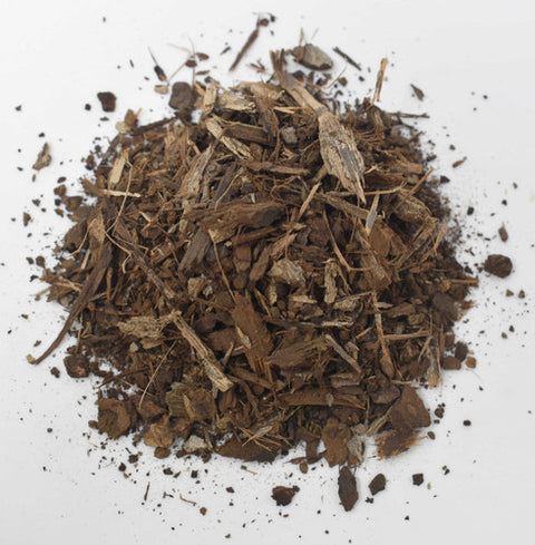Butternut Bark (Juglans cinerea) comes from the bark of the butternut tree, a close relative of black walnut, traditionally used in North American and Appalachian herbal medicine. Known for its gentle cleansing properties, butternut bark has long been used to support digestive health and natural elimination.