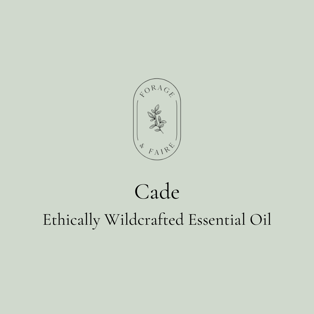 Cade Essential Oil