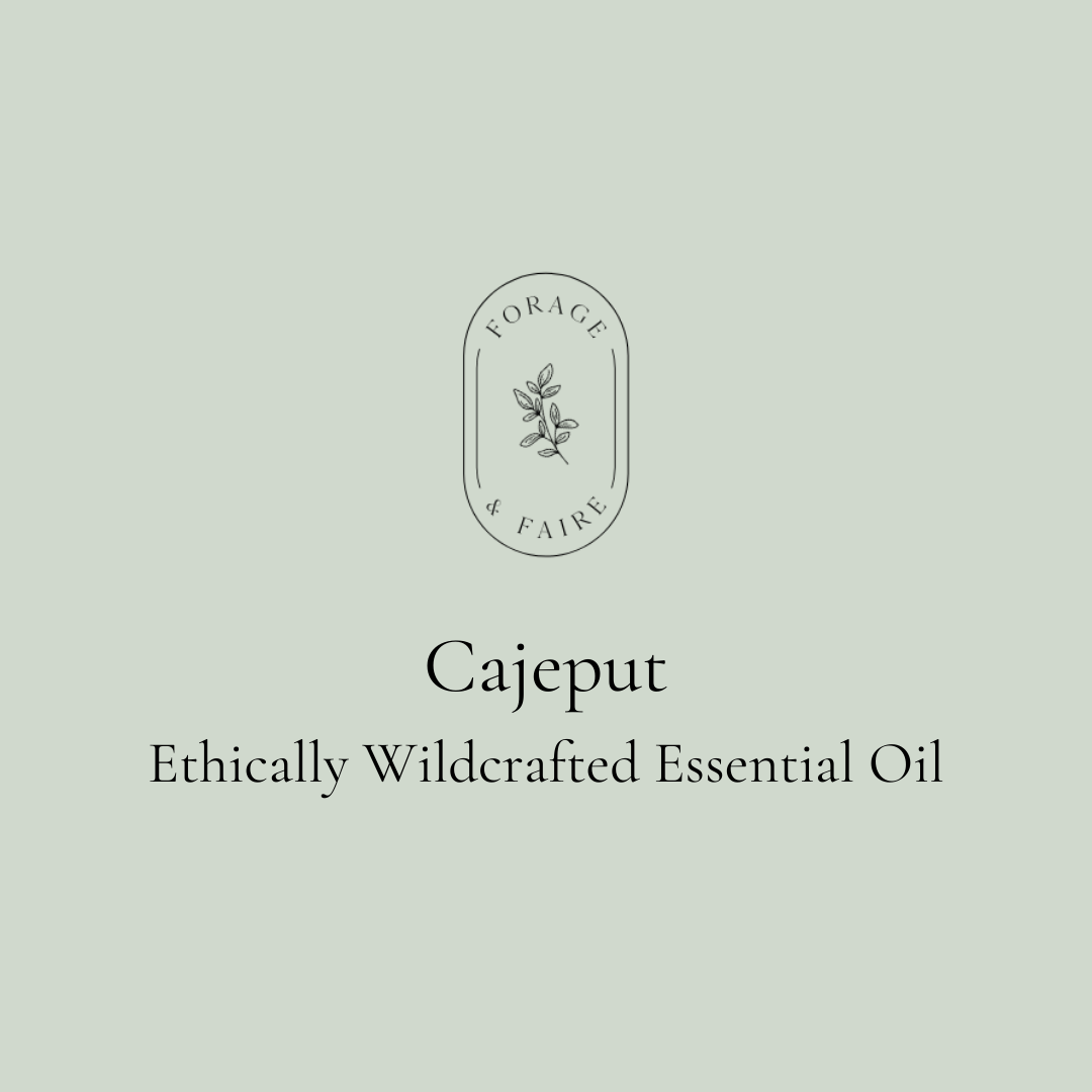 Cajeput Essential Oil