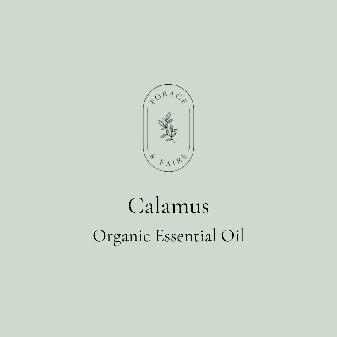 Calamus Essential Oil