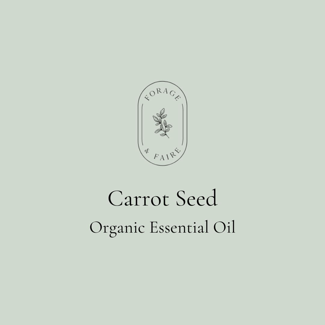 Carrot Seed Essential Oil