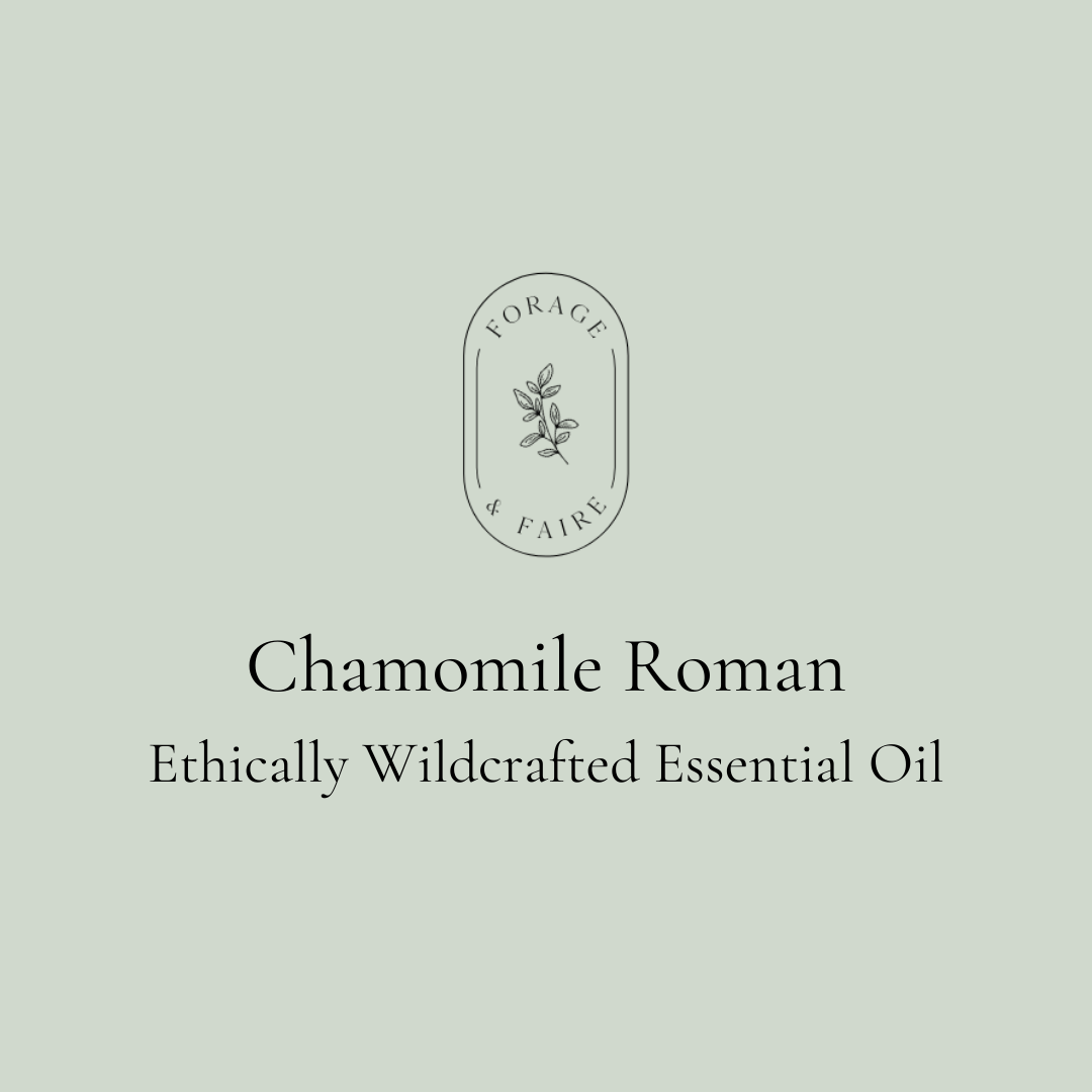 Chamomile Roman Essential Oil