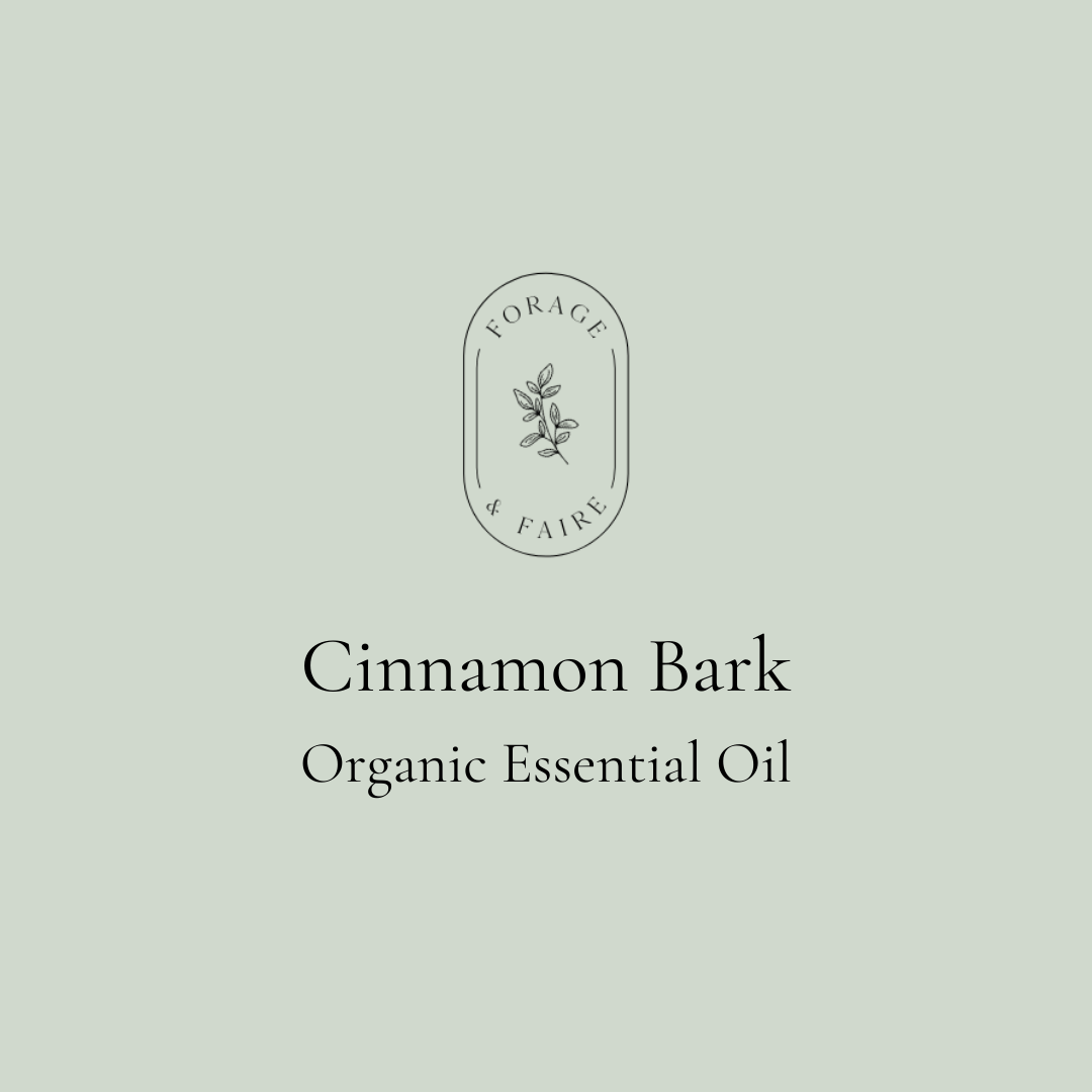 Cinnamon Bark Essential Oil