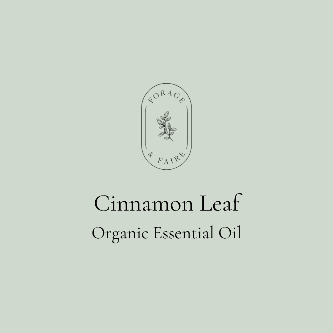 Cinnamon Leaf Essential Oil