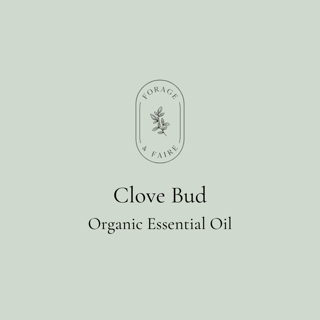 Clove Bud Essential Oil