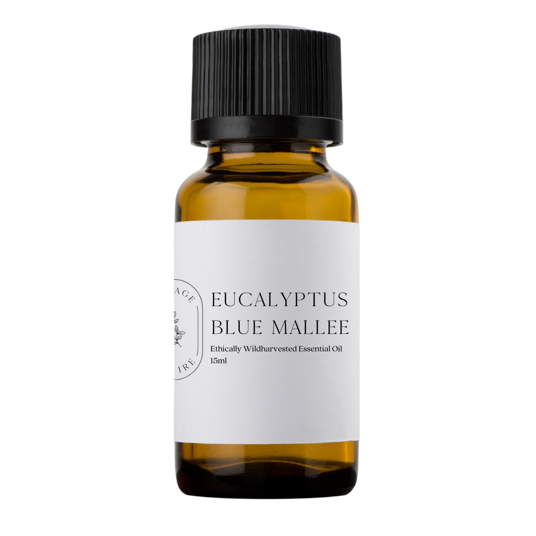 Our ethically wildcrafted Eucalyptus Blue Mallee essential oil is steam distilled from the Eucalyptus polybractea trees that originate in the forests of Australia. Eucalyptus Blue Mallee offers a refreshing, invigorating, camphorous and herbaceous aroma. Eucalyptus Blue Mallee is known to be calming, relaxing and sensually stimulating.