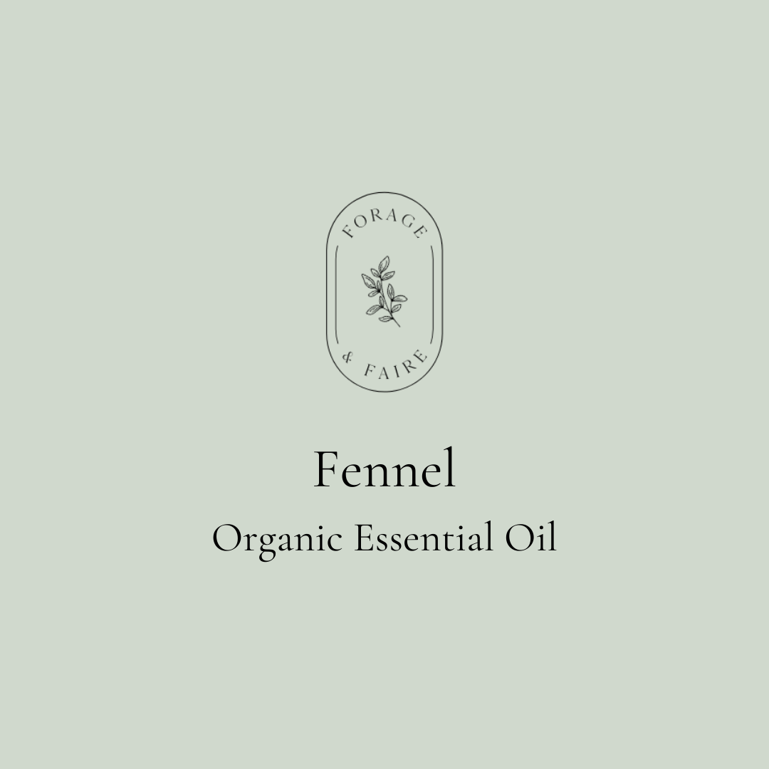 Fennel Essential Oil
