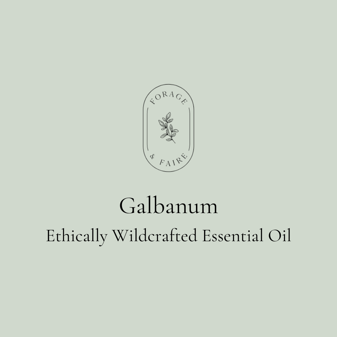 Galbanum Essential Oil
