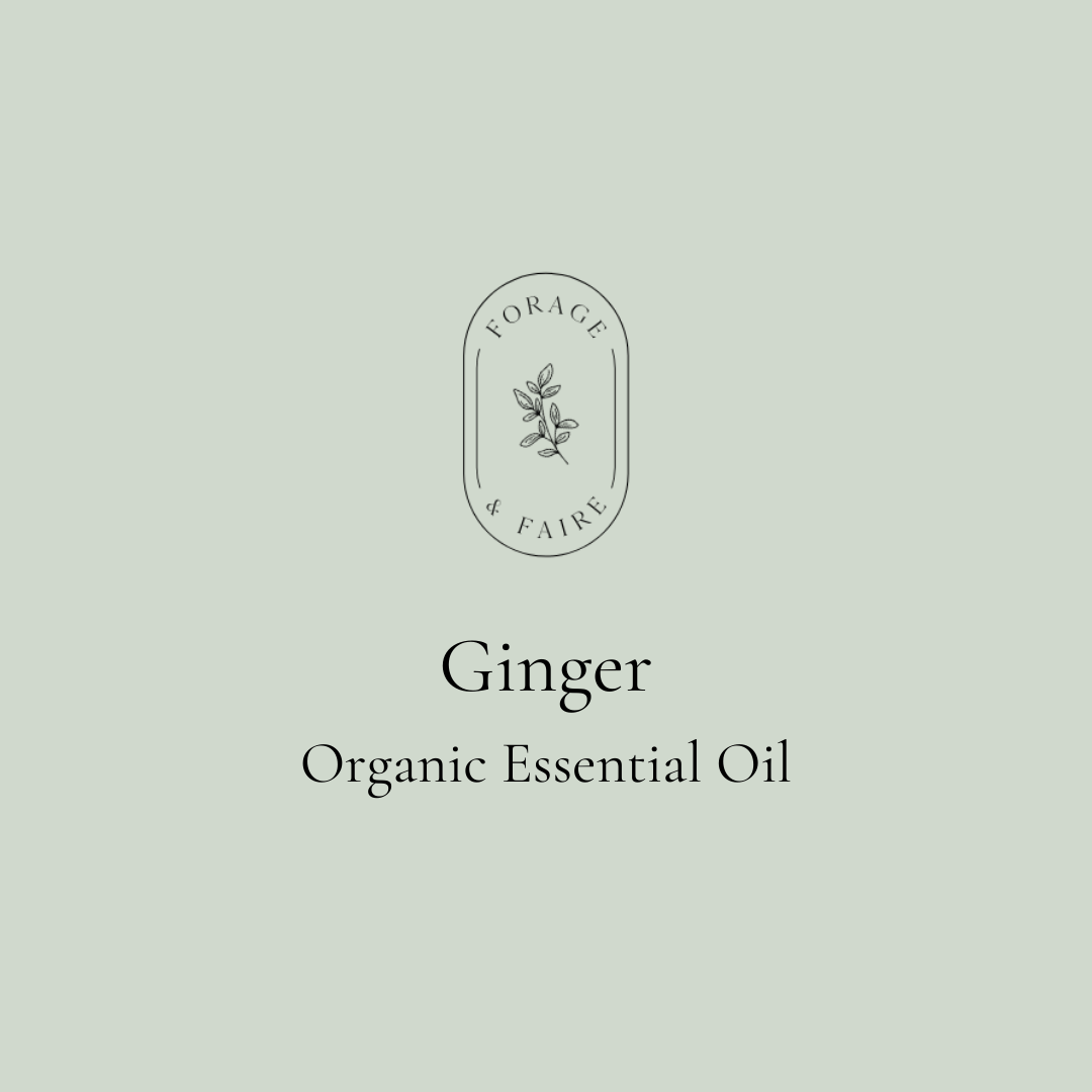 Ginger Essential Oil