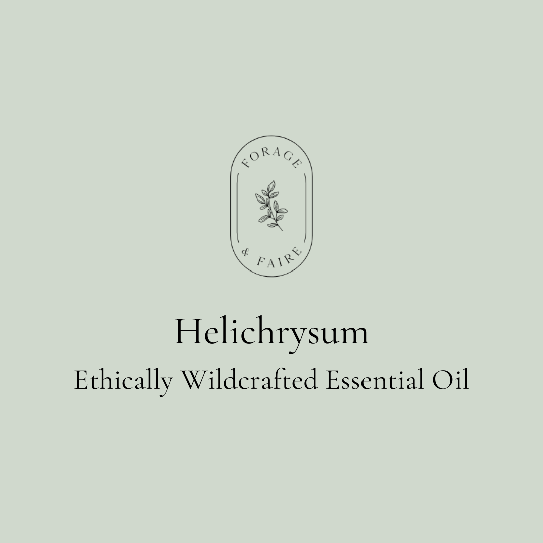 Helichrysum Essential Oil