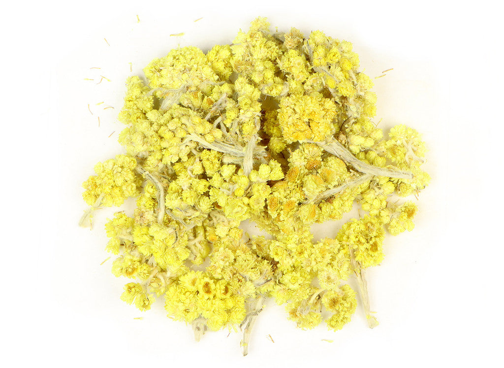 Helichrysum