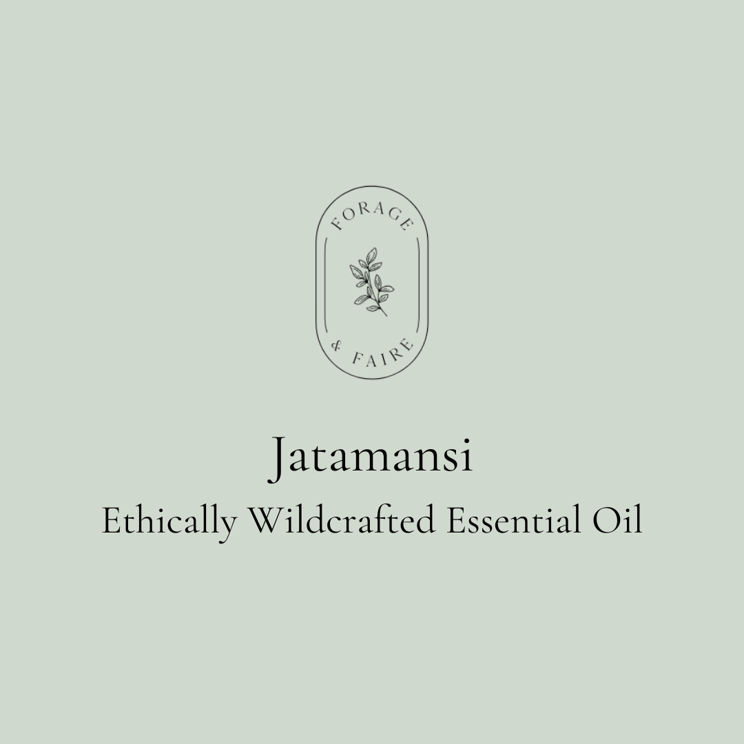 Jatamansi Essential Oil