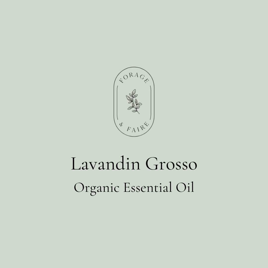 Lavandin Grosso Essential Oil