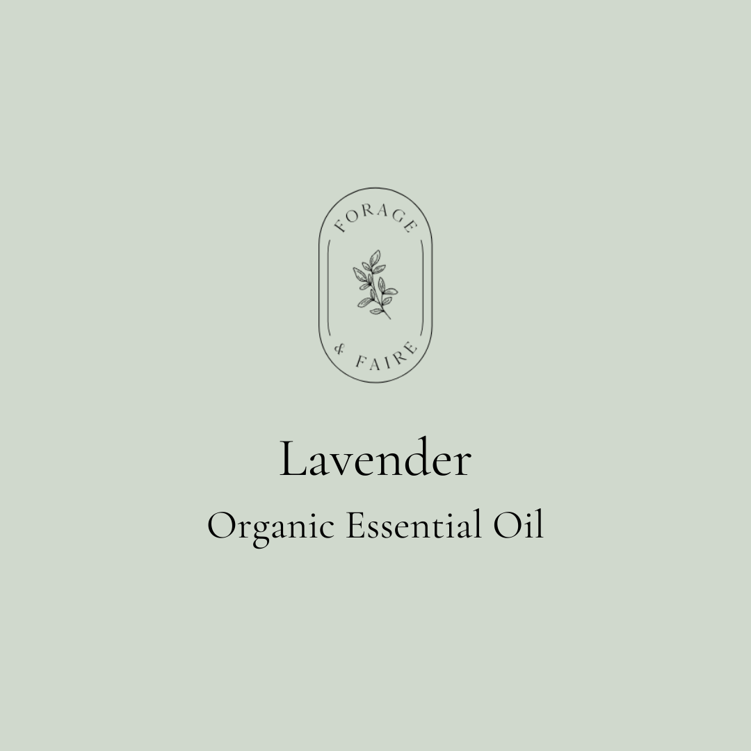 Lavender Essential Oil