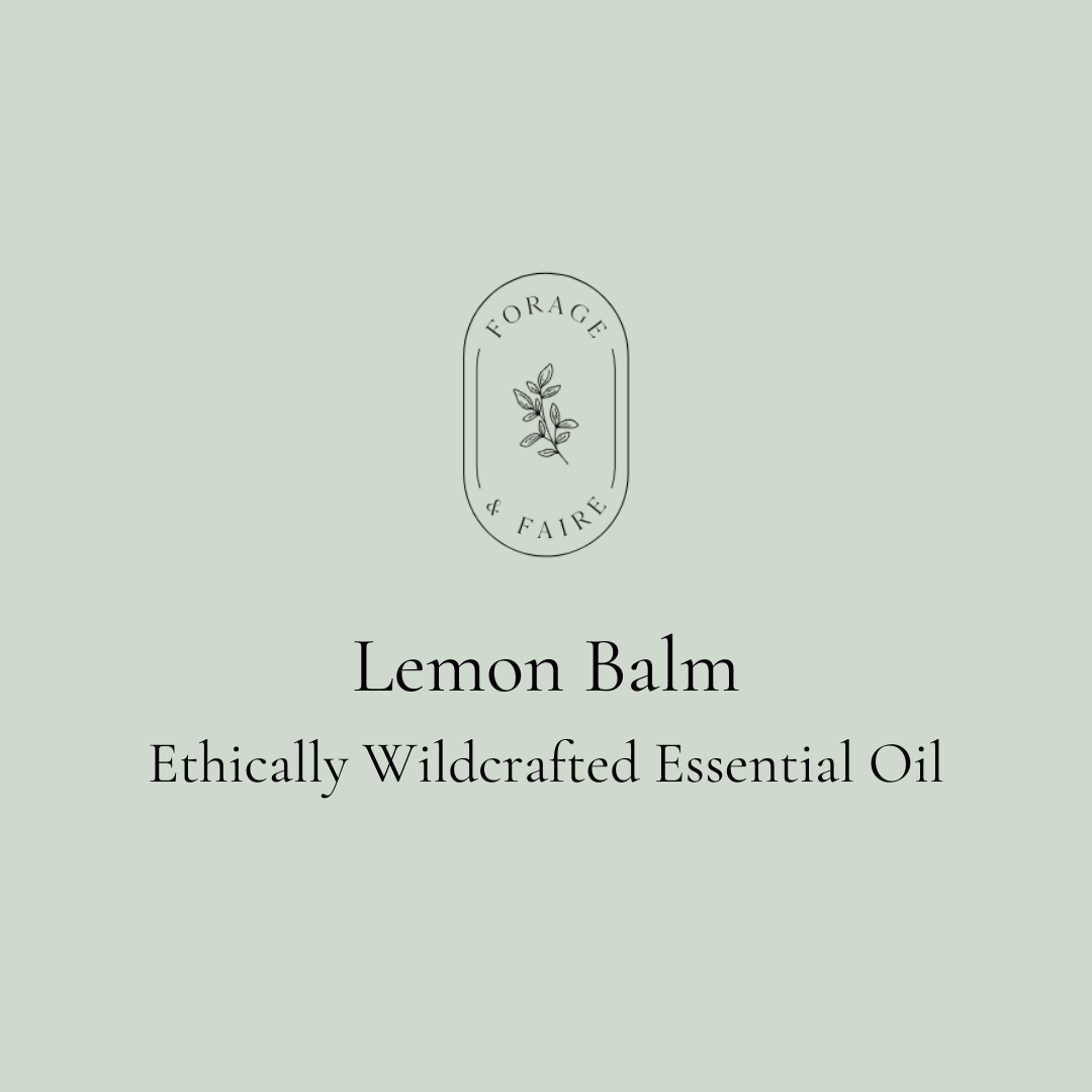Lemon Balm Essential Oil