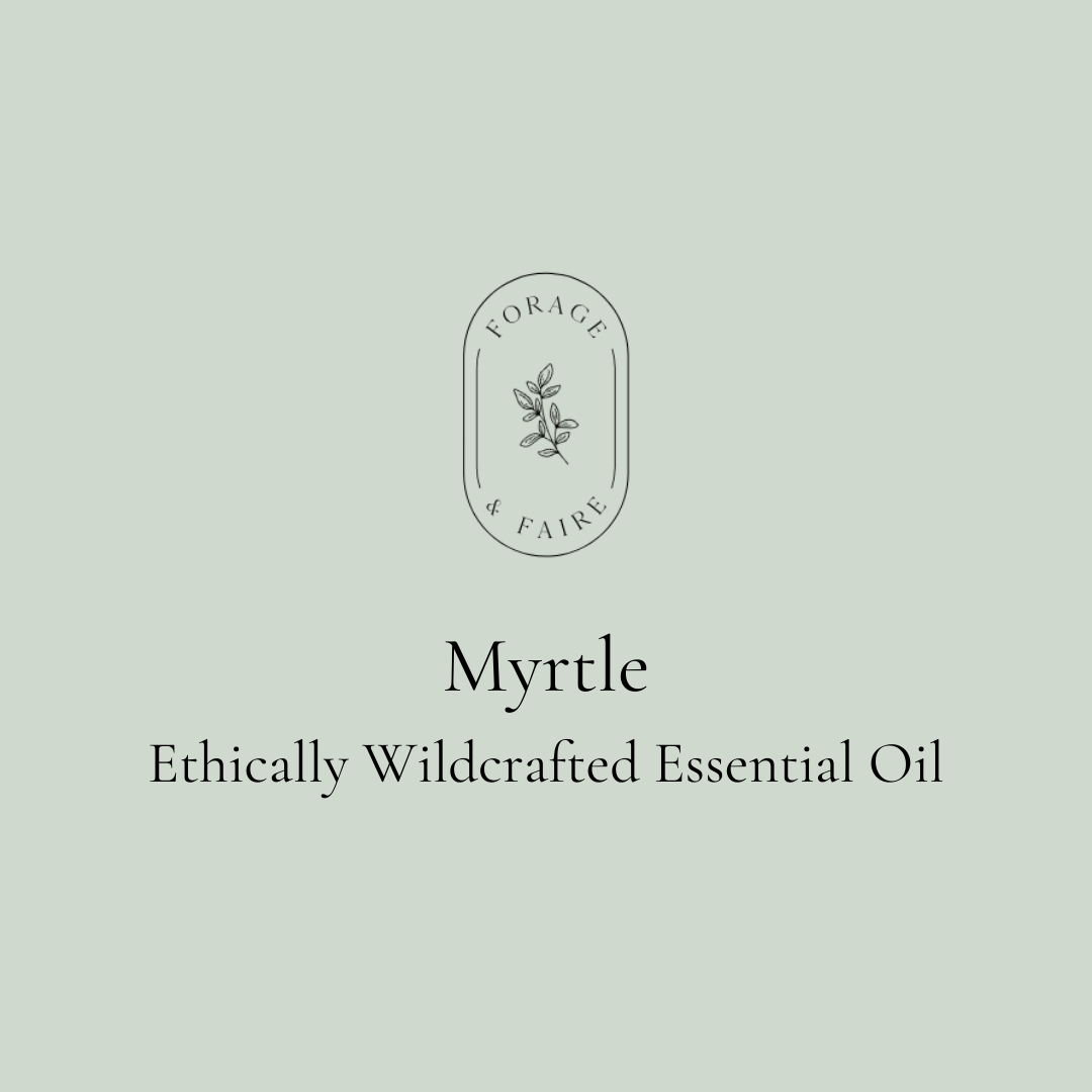 Myrtle Essential Oil