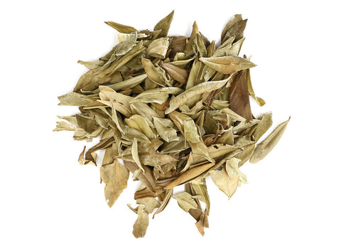 Myrtle (Myrtus communis) originates in the Mediterranean and is often associated with ancient rituals celebrating love and protection. Myrtle has a long history of use in traditional European herbalism and has also been utilized as a culinary herb.