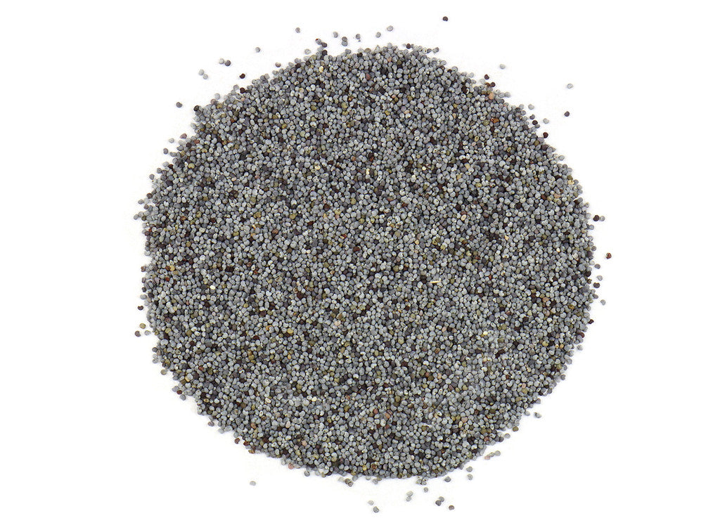 Poppy Seed (Blue)