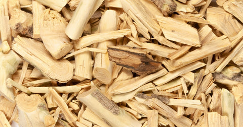 Quassia (Quassia amara) is a bitter, tropical wood traditionally used in South American and Caribbean herbal medicine for its many health supporting benefits.