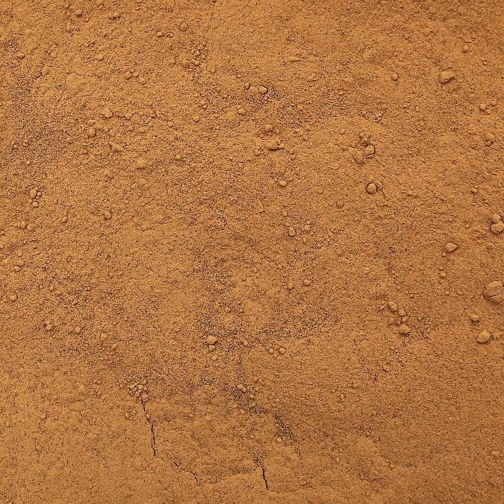 Ramón Roasted Powder | Organic Herbal Apothecary | Forage & Faire