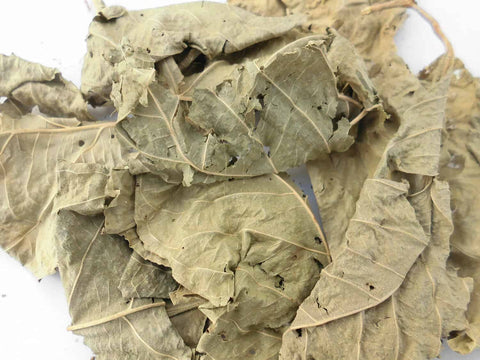 Sakae Naa (Combretum quadrangulare) originates in the lush landscapes of Southeast Asia. Sakaee Naa has a long history of use for its many health supporting properties.