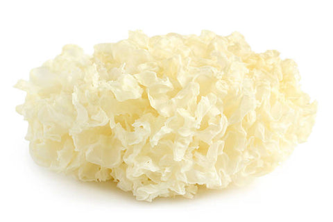 Tremella (Tremella fuciformis), also commonly known as Snow Mushroom, originate throughout North America and Asia. Tremella has a long history of use in Traditional Chinese Medicine for its healing and beautifying properties.