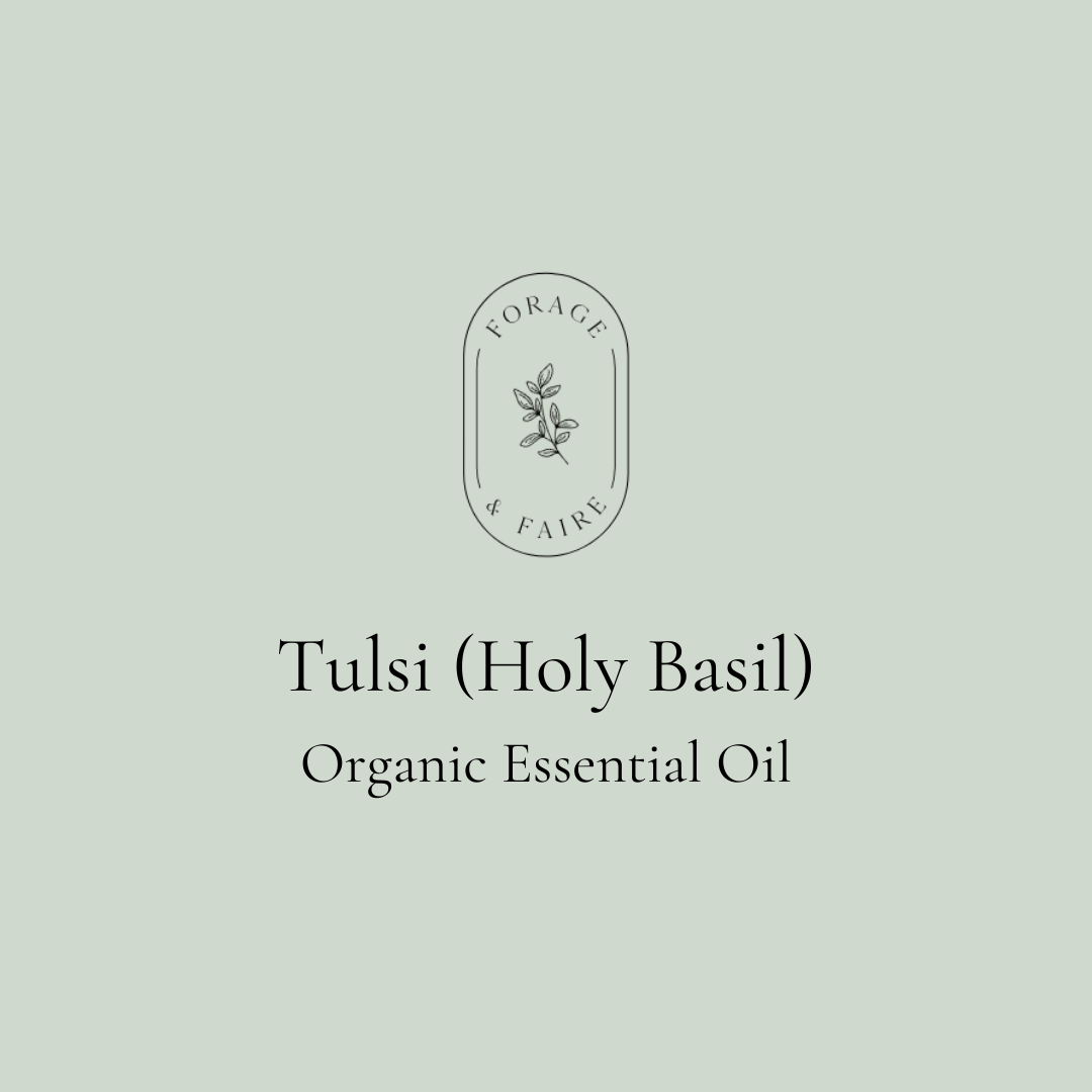Tulsi (Holy Basil) Essential Oil