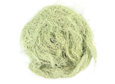 Usnea (Usnea spp.) is a lichen (part algae, part fungi) that can be found throughout the Northern Hemisphere, especially among the trees in the Pacific Northwest. Considered to be energetically cooling and drying, Usnea has a long history of use in folk herbalism for its health supporting properties.