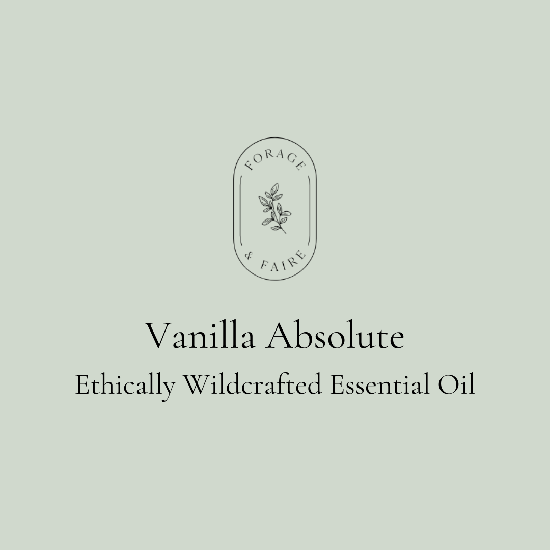 Vanilla Absolute Essential Oil