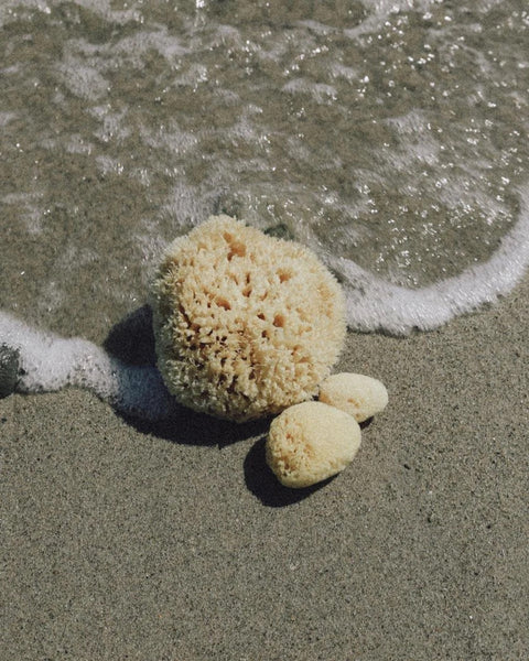 Wool sea sponges have been used for generations as a way to exfoliate and cleanse.
