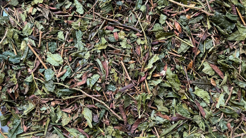 This Land of the Gods Izumo Folk Bancha Premium Green Tea is rooted in the quiet beauty of Shimane Prefecture, developed during the Showa era by local tea artisan Oka Masaaki.