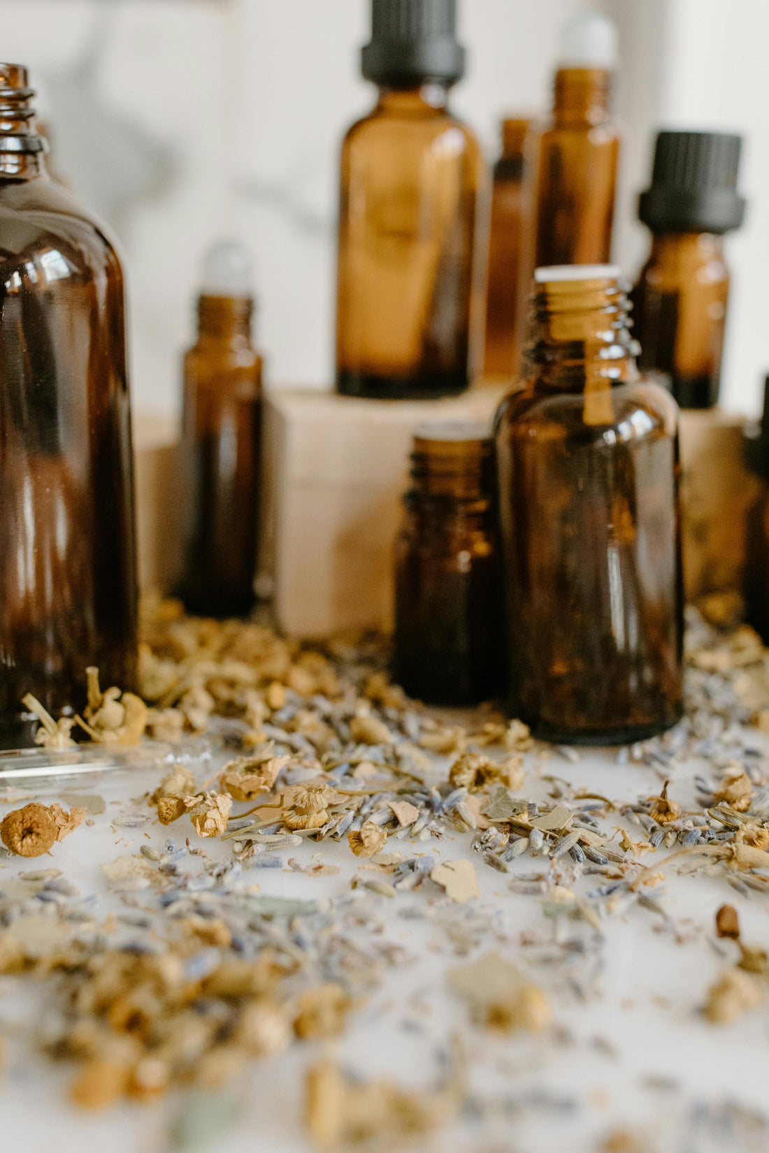 Understanding Herbal Tinctures & How They Are Made