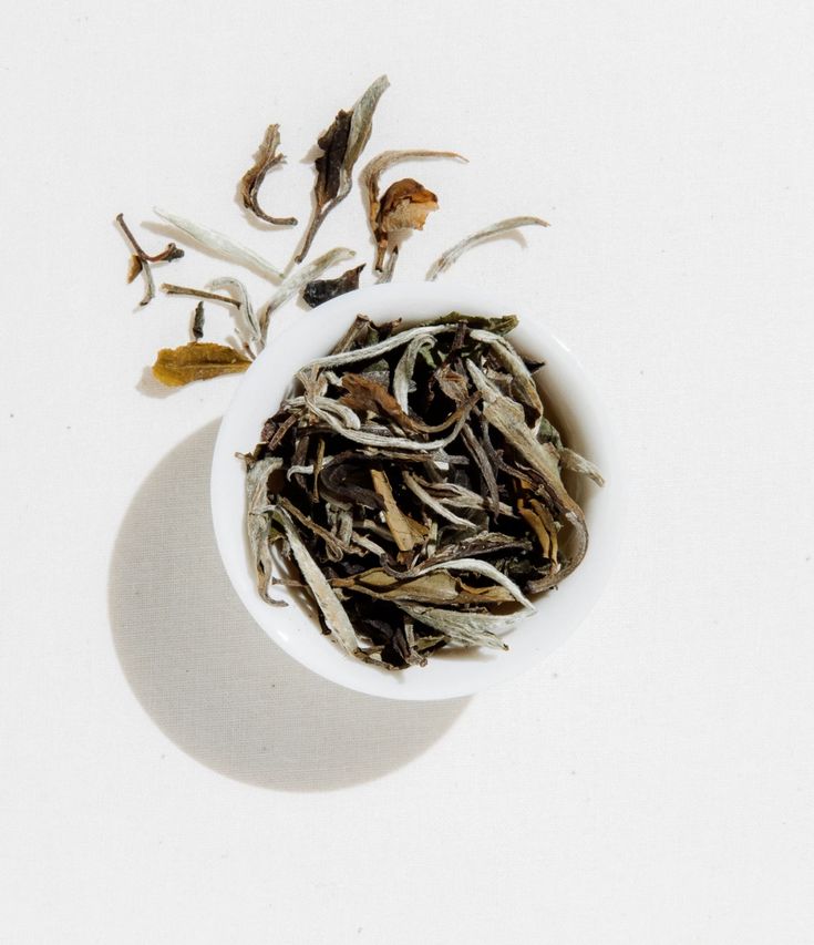 Organic White Tea | Rare & Artisan Tea | Forage & Faire