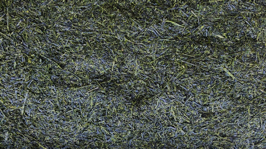 Our Chiran Shincha (2024 Harvest) is a bright, premium Green Tea. Chiran Shincha offers notes of orange blossoms, wheatgrass and intense umami with beautiful body.