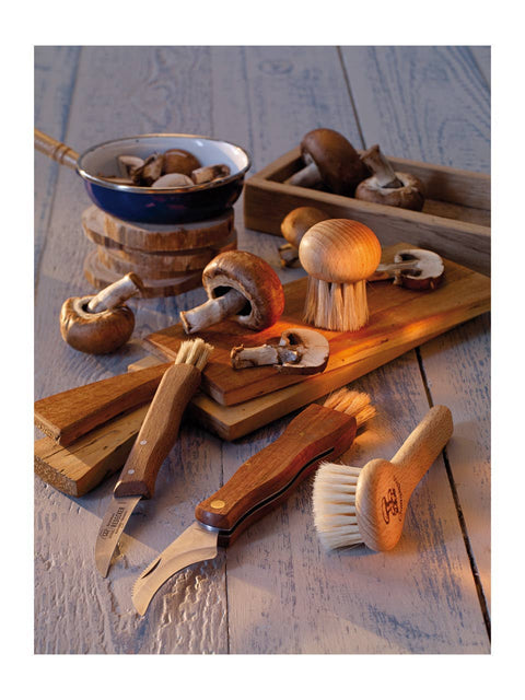 Mushroom Brush