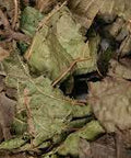 Alchornea Leaf (Alchornea cordifolia) is a resilient tropical herb traditionally used in West African herbal medicine for its powerful health properties.
