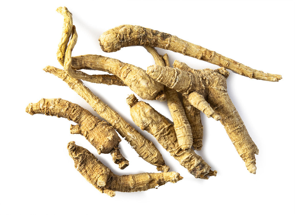 American Ginseng