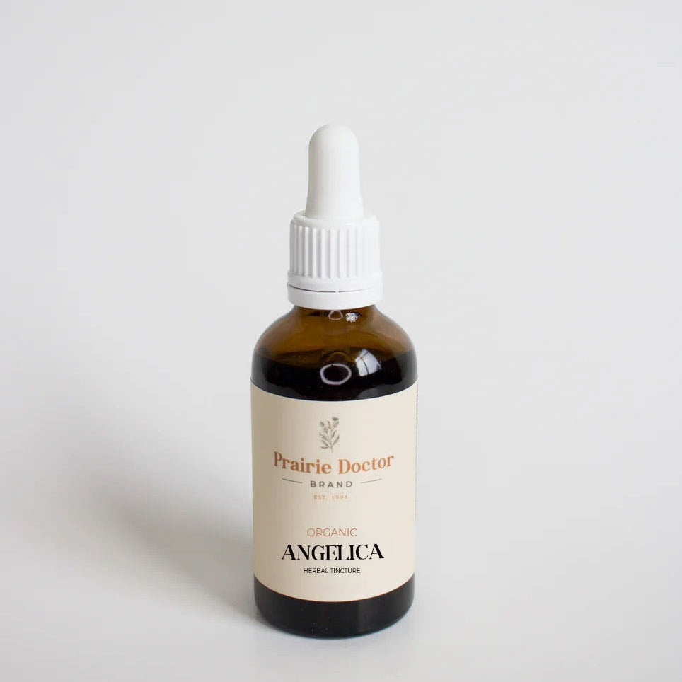 Our organic Angelica herbal tincture is handmade using high quality, organic Angelica root. Angelica is known for its ability to help support healthy digestion as a carminative as well as for its ability to help relieve various viruses and infections.