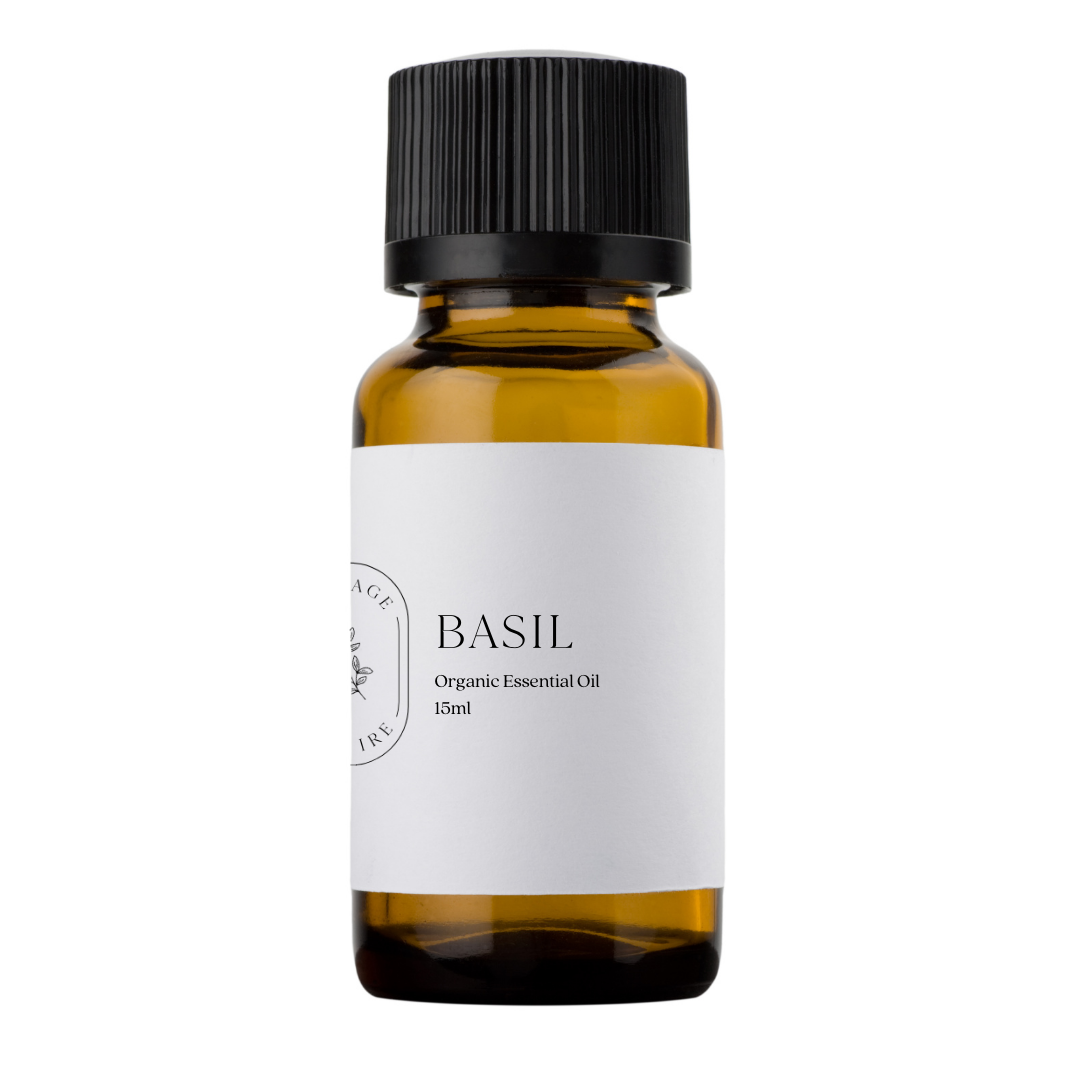 Our organic Basil (Ocimum basilicum) essential oil is steam distilled from the aromatic leaves of the Basil plant. Basil essential oil is lively, herbaceous and fresh with light balsamic undertones.