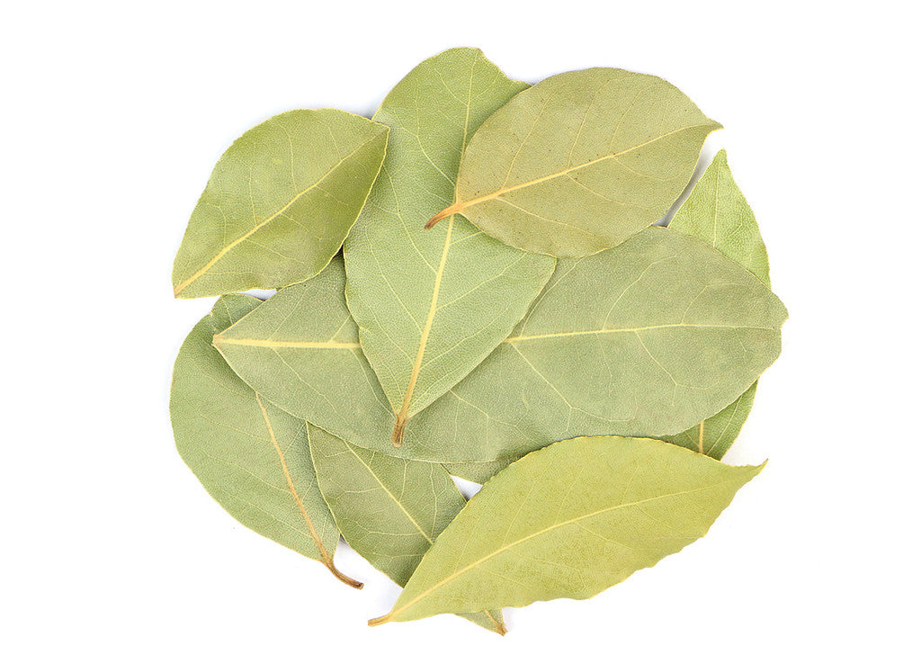 Bay Laurel (Laurus nobilis) is also commonly known as Bay Leaf and is an aromatic ingredient in many culinary recipes. Bay Laurel has been utilized in traditional European herbalism as a source of many health-supporting properties for many centuries.