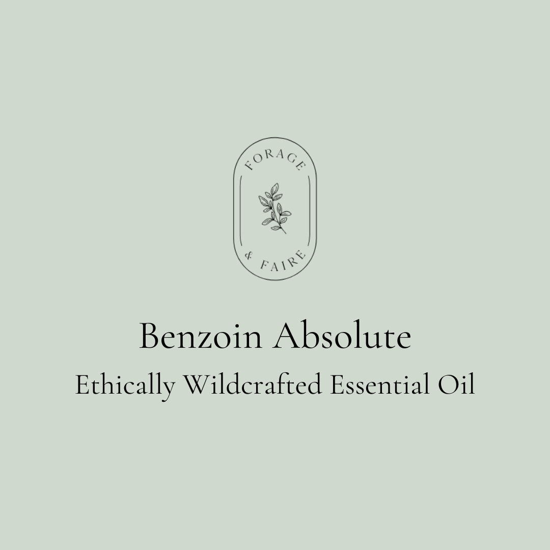 Benzoin Absolute Essential Oil