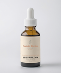 Our Bidens Pilosa Herbal Tincture is carefully crafted using ethically wildcrafted Bidens Pilosa. Traditionally used in tropical and folk herbal medicine, this versatile plant is valued for supporting health and wellbeing.