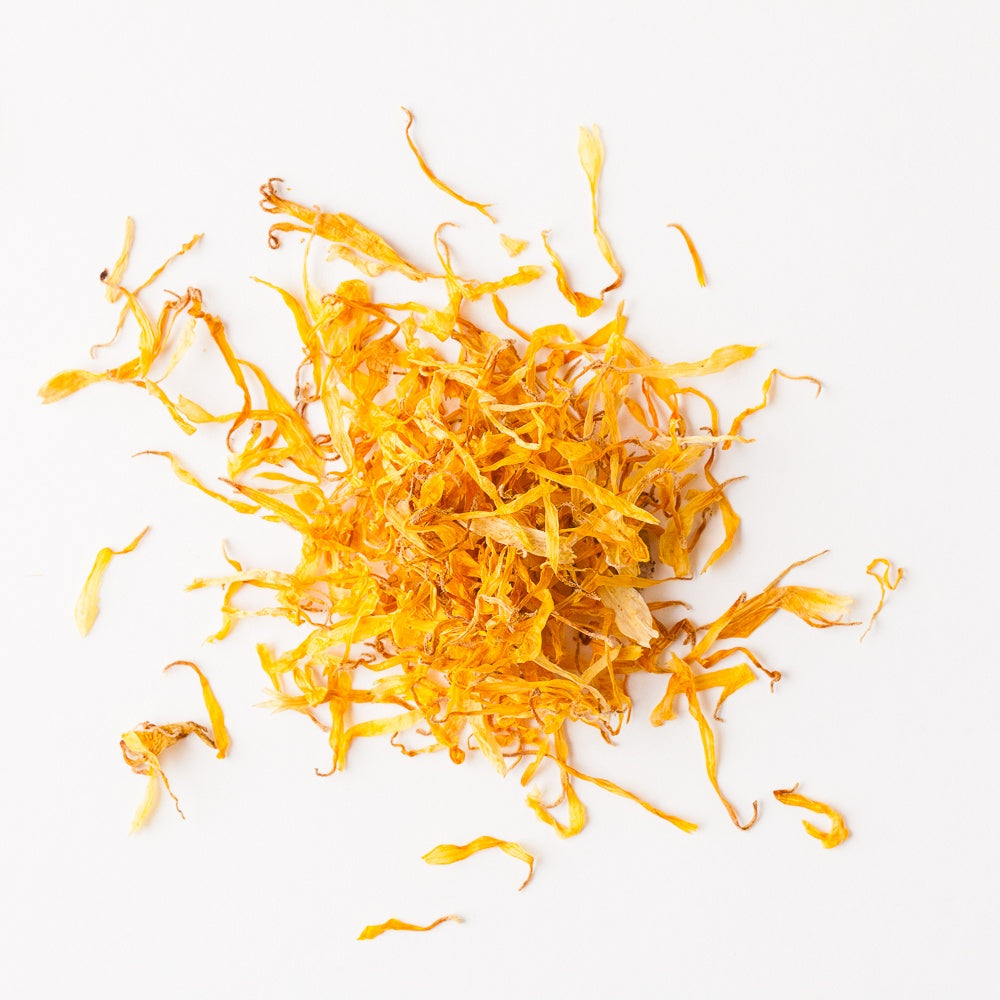 Calendula (Calendula officinalis) is an annual, daisy-like flower that has been utilized by herbalists round the world for its beneficial properties. Calendula can naturally be found throughout Southern Europe, Egypt and the Mediterranean and is now commonly cultivated in many home gardens.