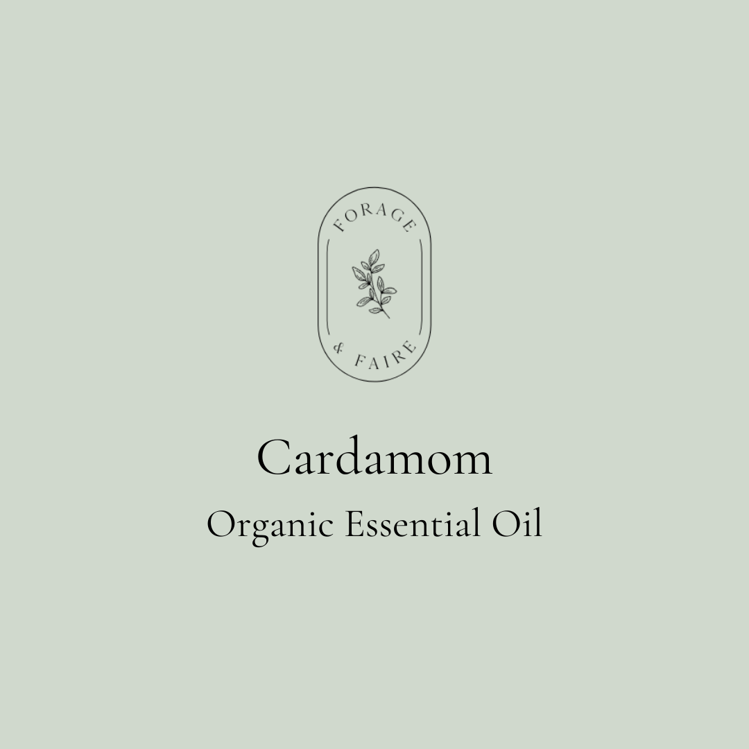 Cardamon Essential Oil