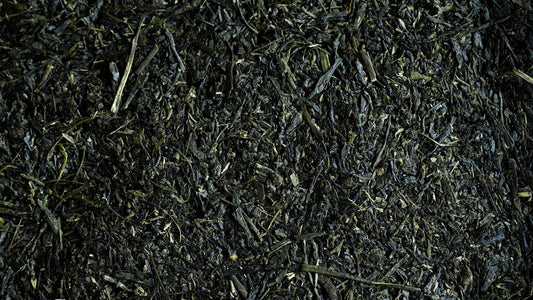 This beautifully balanced organic Chiran Shincha offers a umami richness with notes of sweet grass and a citrus finish.