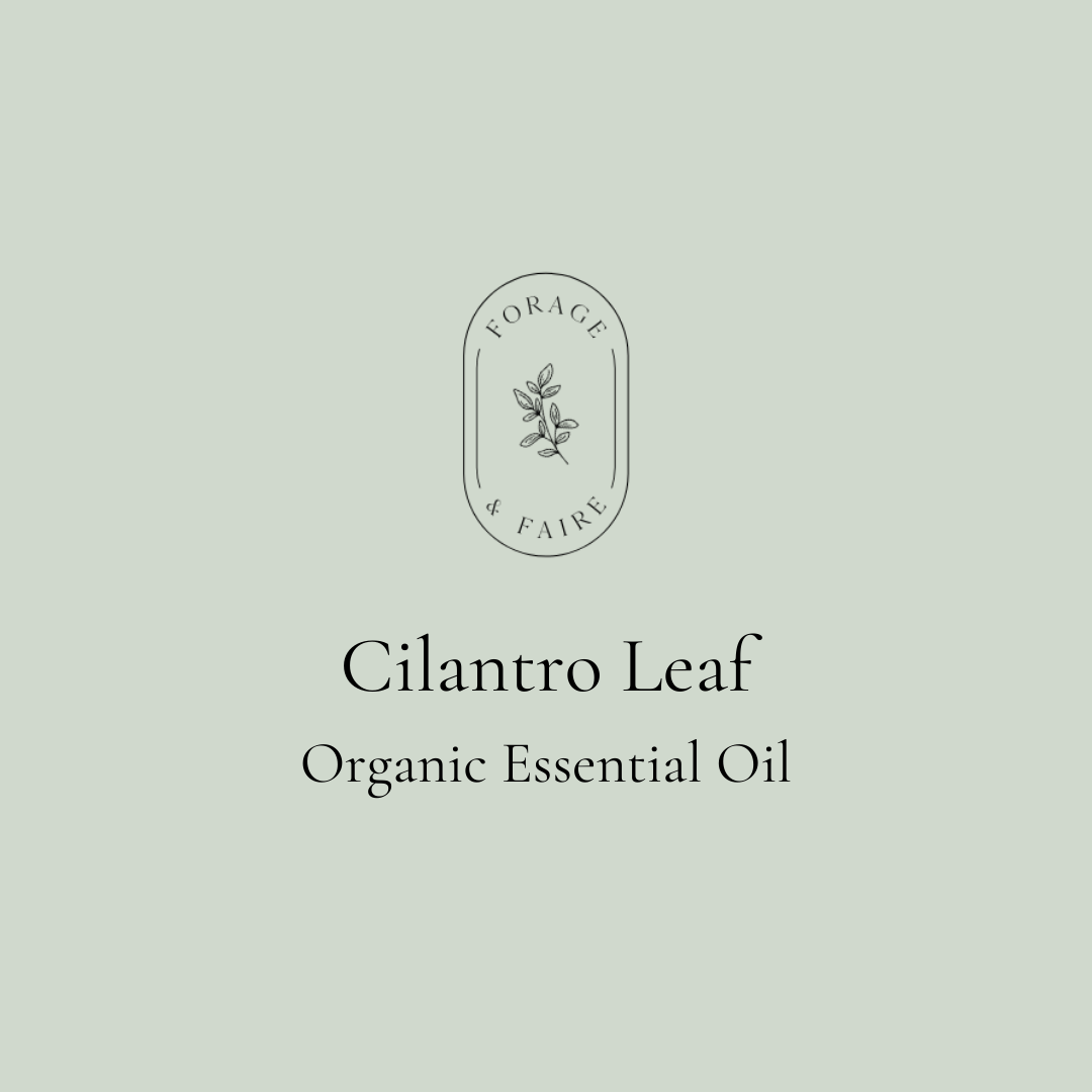 Cilantro Leaf Essential Oil