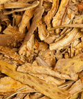 Devil’s Club (Oplopanax horridus) is a powerful, protective plant native to the Pacific Northwest and traditionally used in Indigenous medicine for its many health supporting properties.